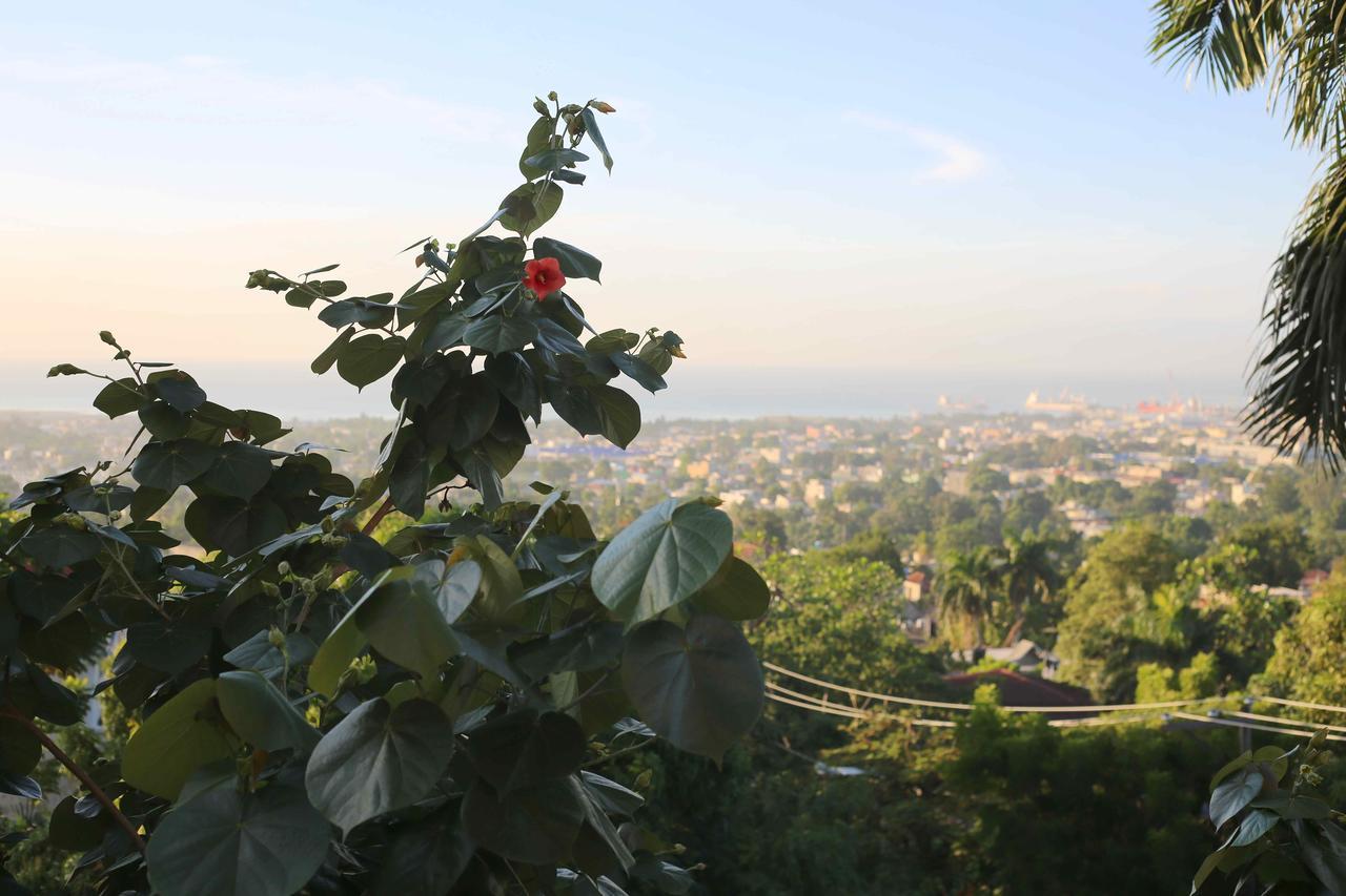 Prince Hotel Port-au-Prince Exteriör bild